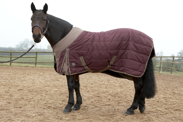 Sherwood Forest Ascot Stable Rug                                                     